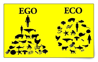 Eco or Ego